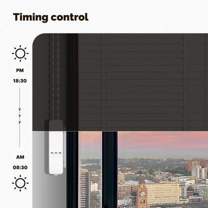 Tende a rullo a catena MOES Tuya Zigbee, motore elettrico intelligente per tende oscuranti, batteria al litio, controllo tramite app con Alexa e GoogleHome